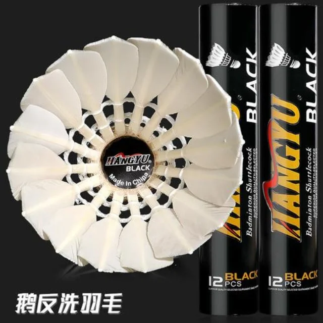 训练备战聚焦:第824组阵容视角深度解析